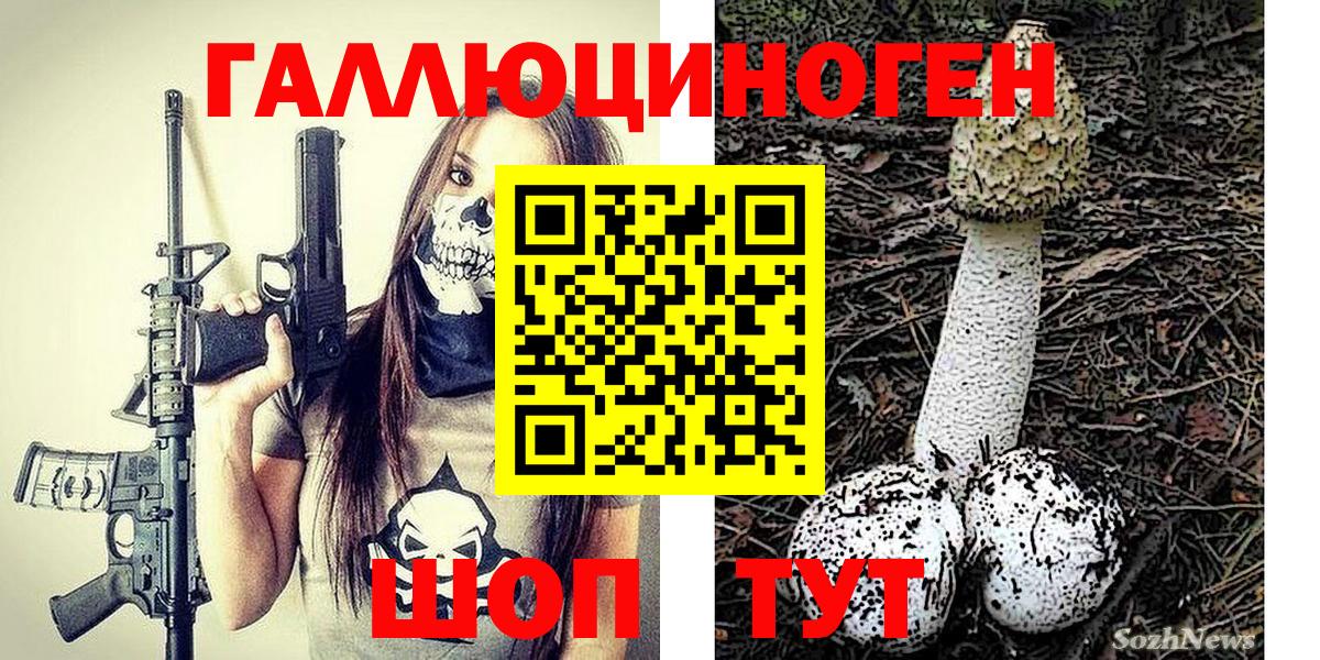Чита  Галлюциногенные грибы Magic Shrooms  Вход с VPN 