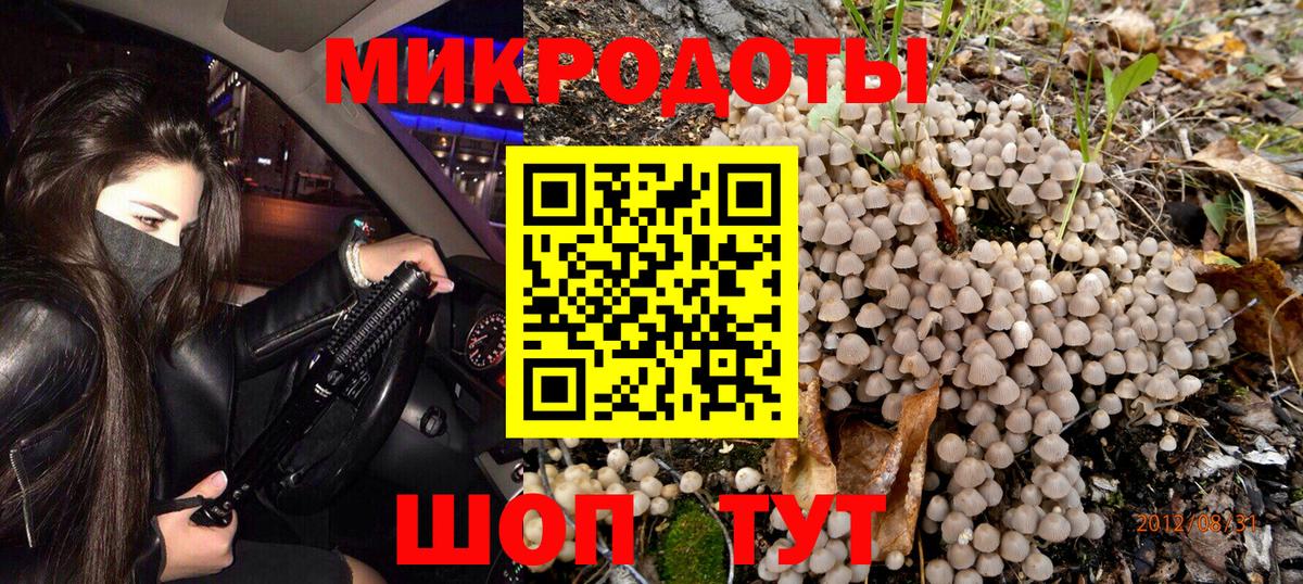 Псилоцибиновые грибы мицелий Чита